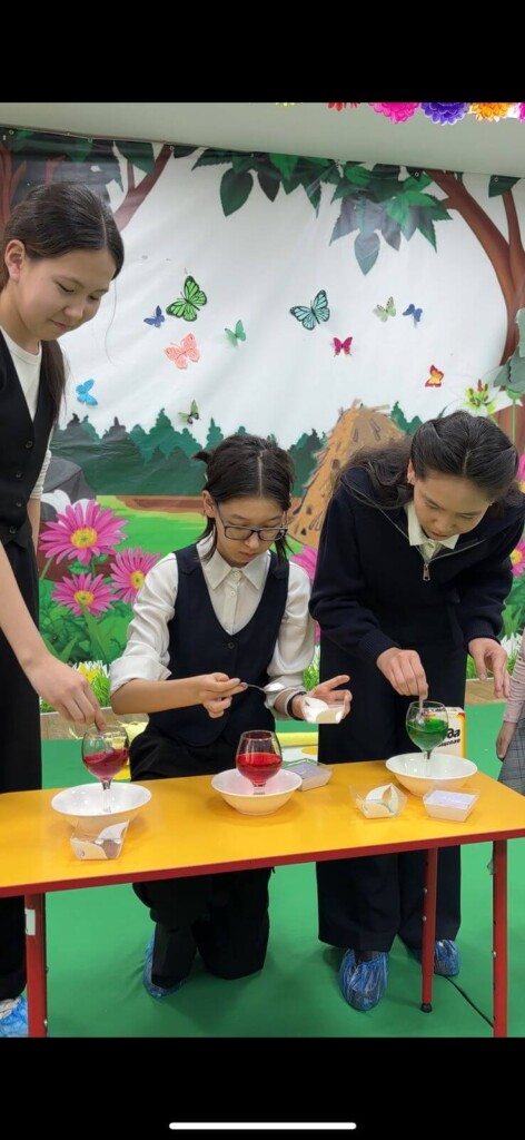 Меры профессионального руководства в рамках проекта «One School — One Skill»
